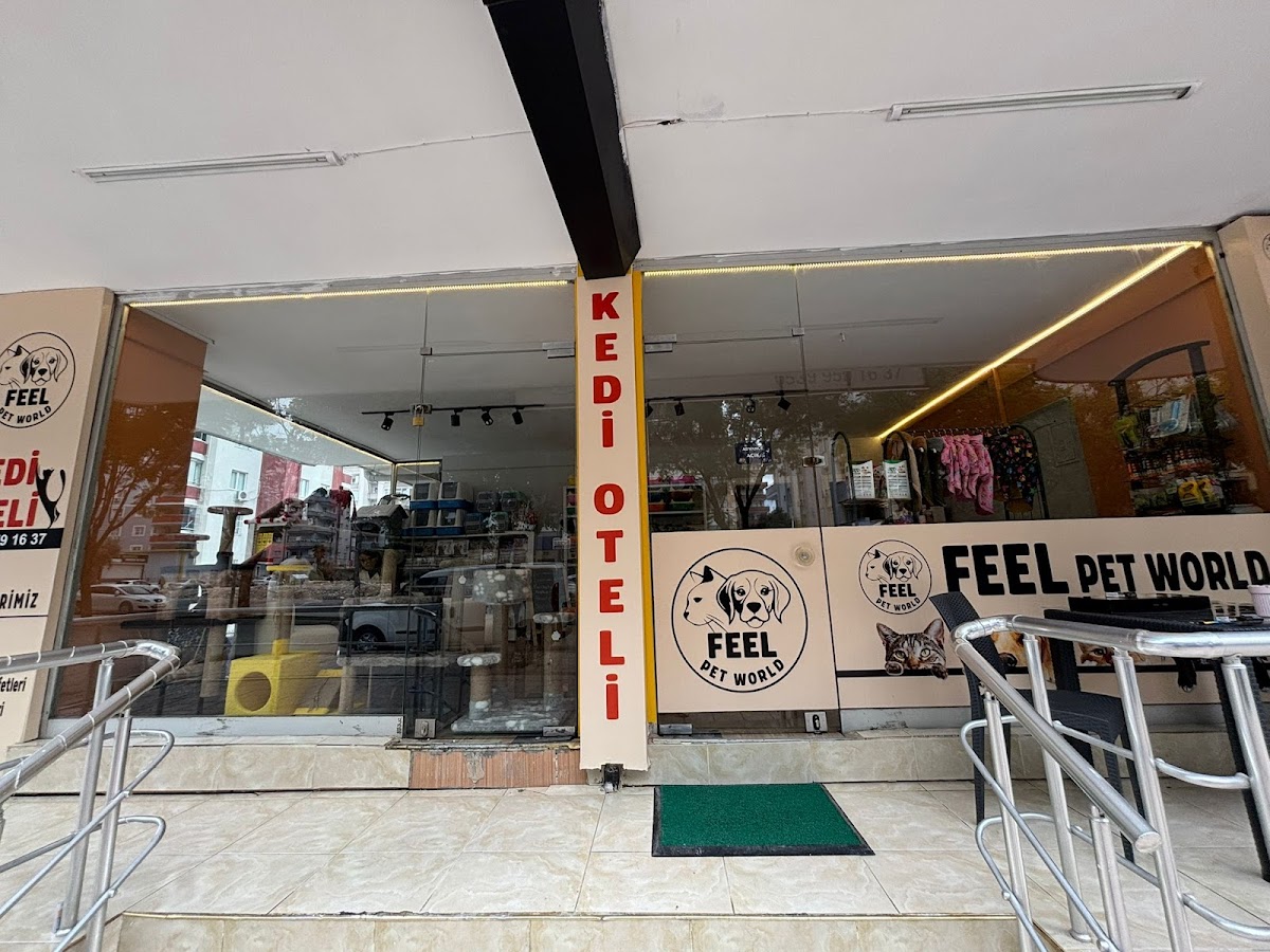 FEEL PET MARKET&GROOMİNG