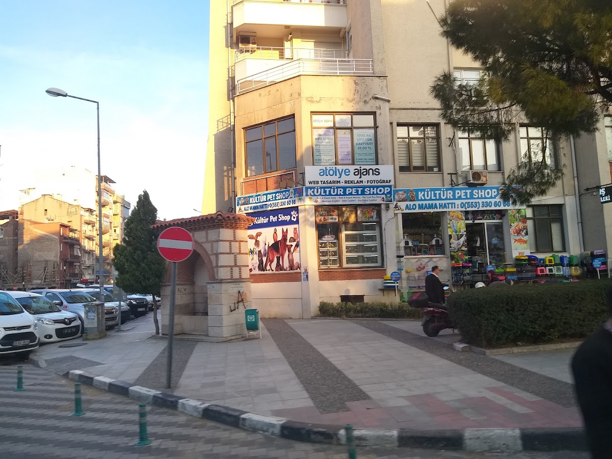 Kültür Petshop Alo Mama Hattı