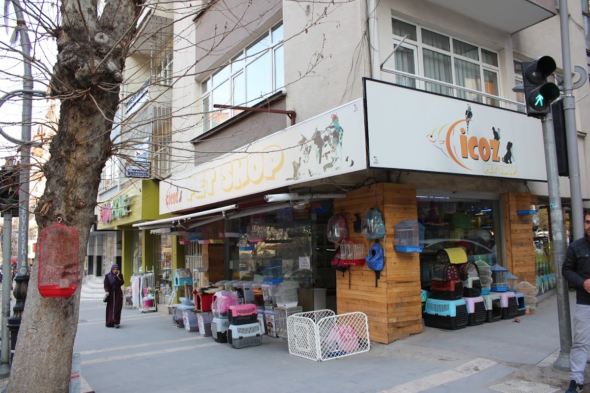 CİCOZ PETSHOP