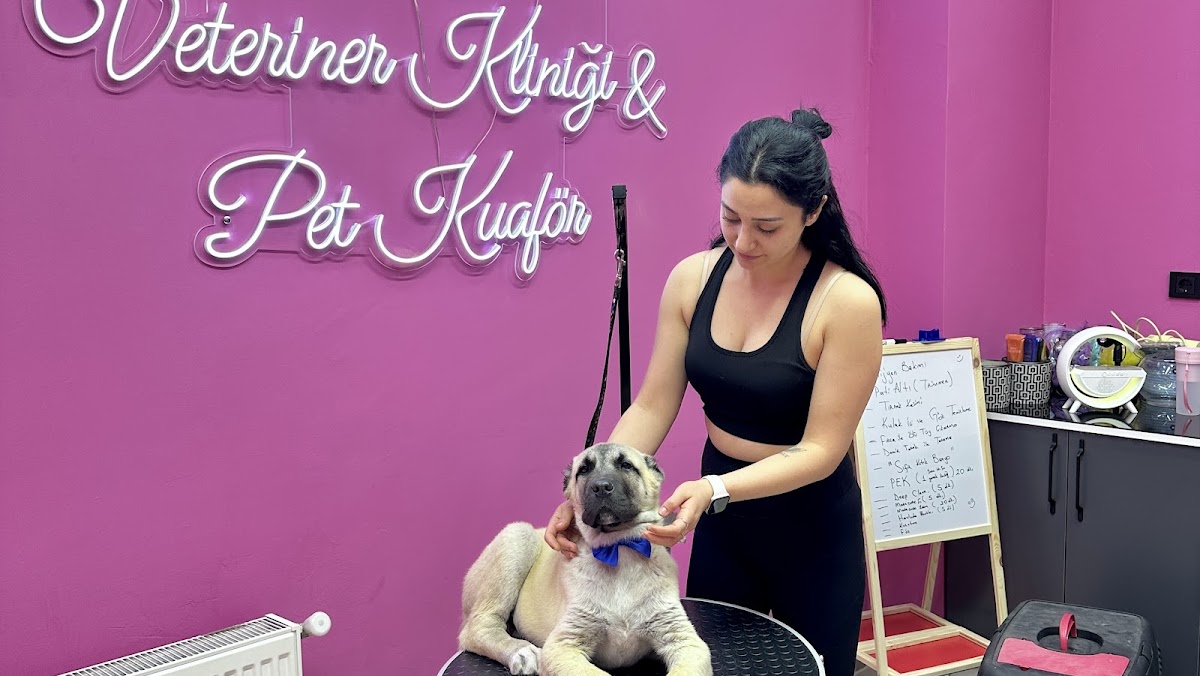 Malatya Pet Kuaför Veteriner Kübra Yıldırım