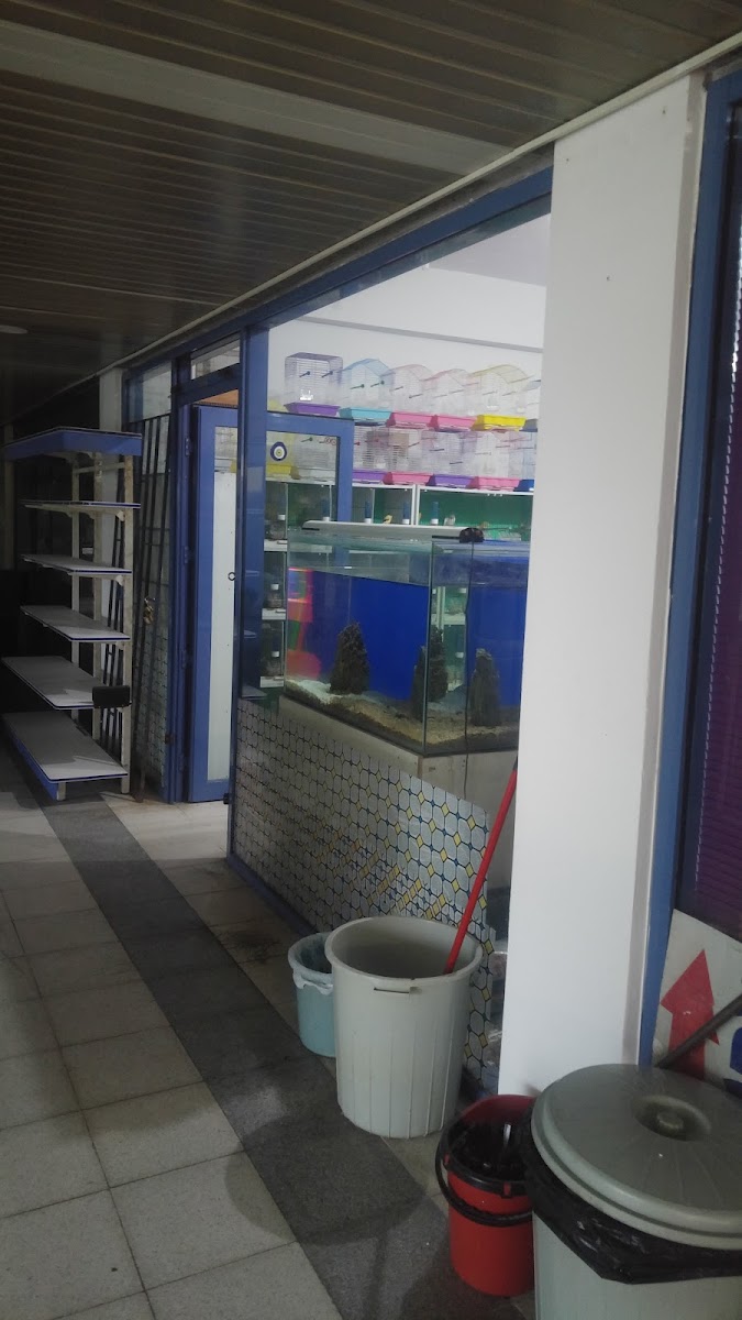 Arez Pet Shop
