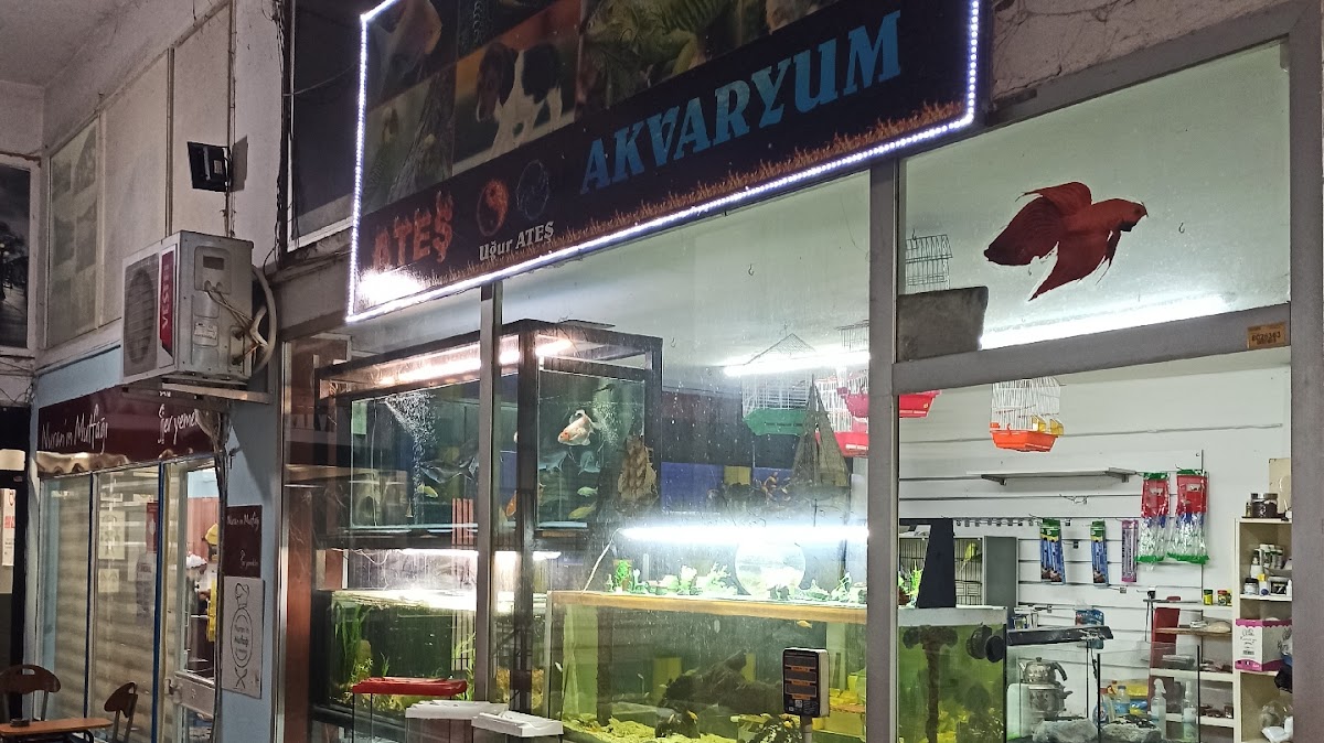 Ateş Akvaryum Pet Shop