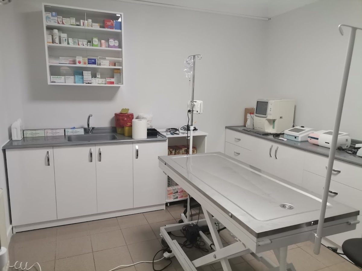 Dogtor Veteriner Kliniği 7/24 | Evcil Hayvan Oteli