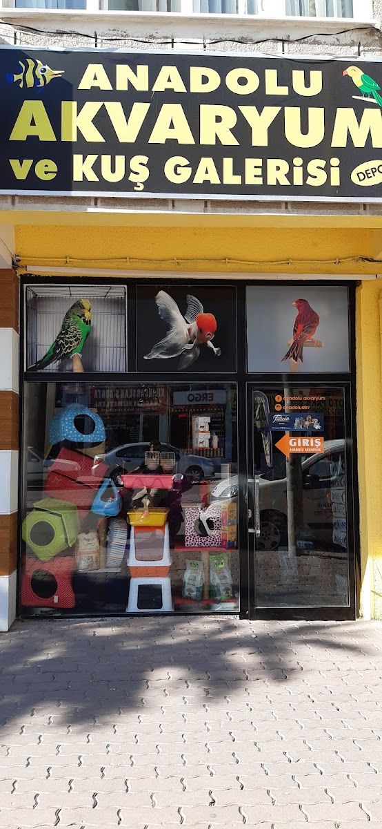 Anadolu Akvaryum ve Kuş Galerisi
