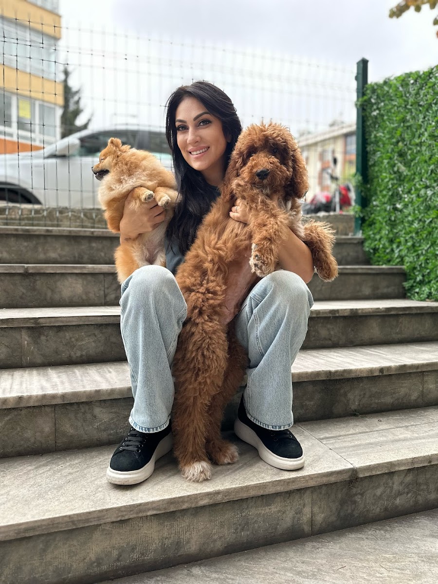 BAKIRKÖY PETLOUNGE. PET KUAFÖR &PETSHOP