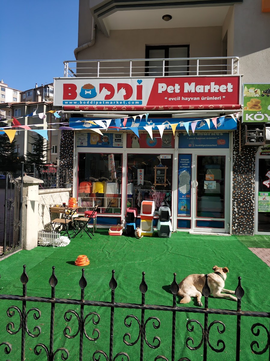 Boddi Pet Market