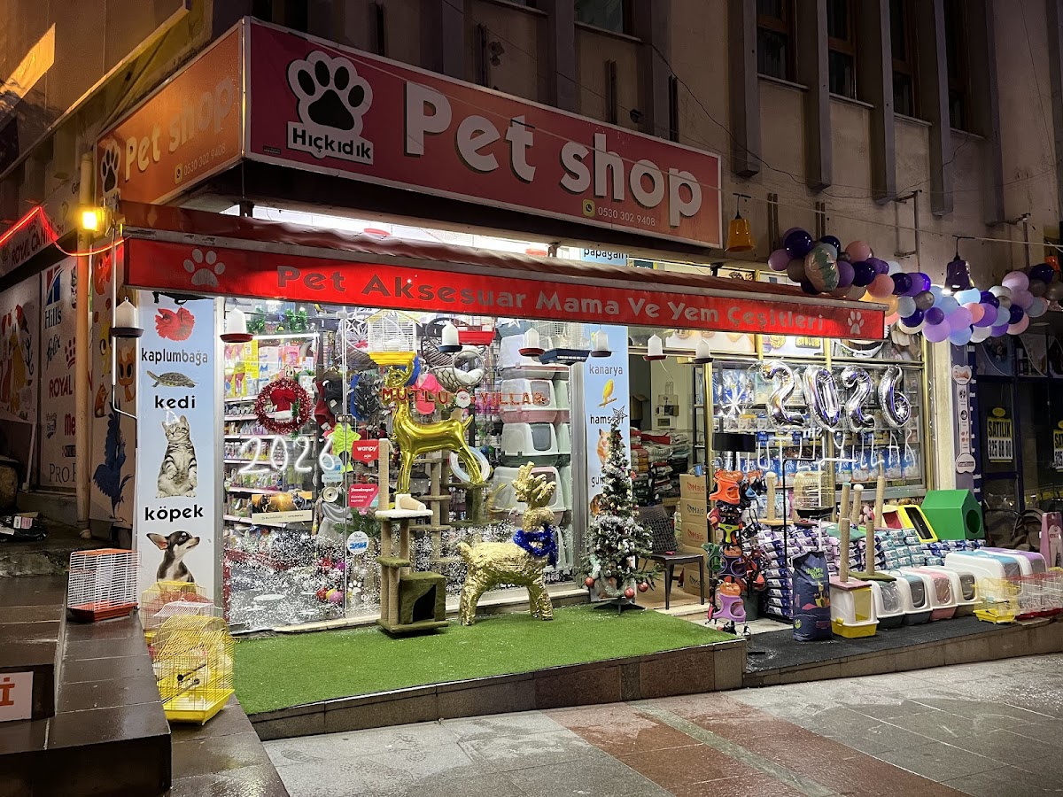 HIÇKIDIK PETSHOP AKVARYUM İZMİT