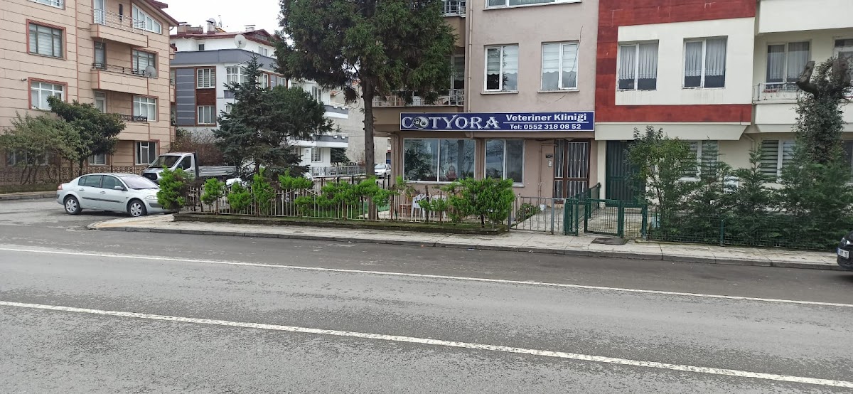 Cotyora veteriner kliniği