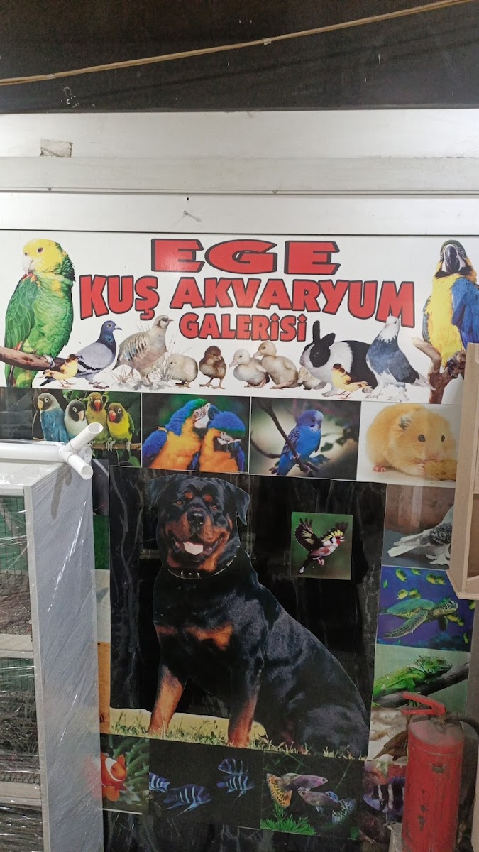 Ege kuş ve akvaryum dünyası