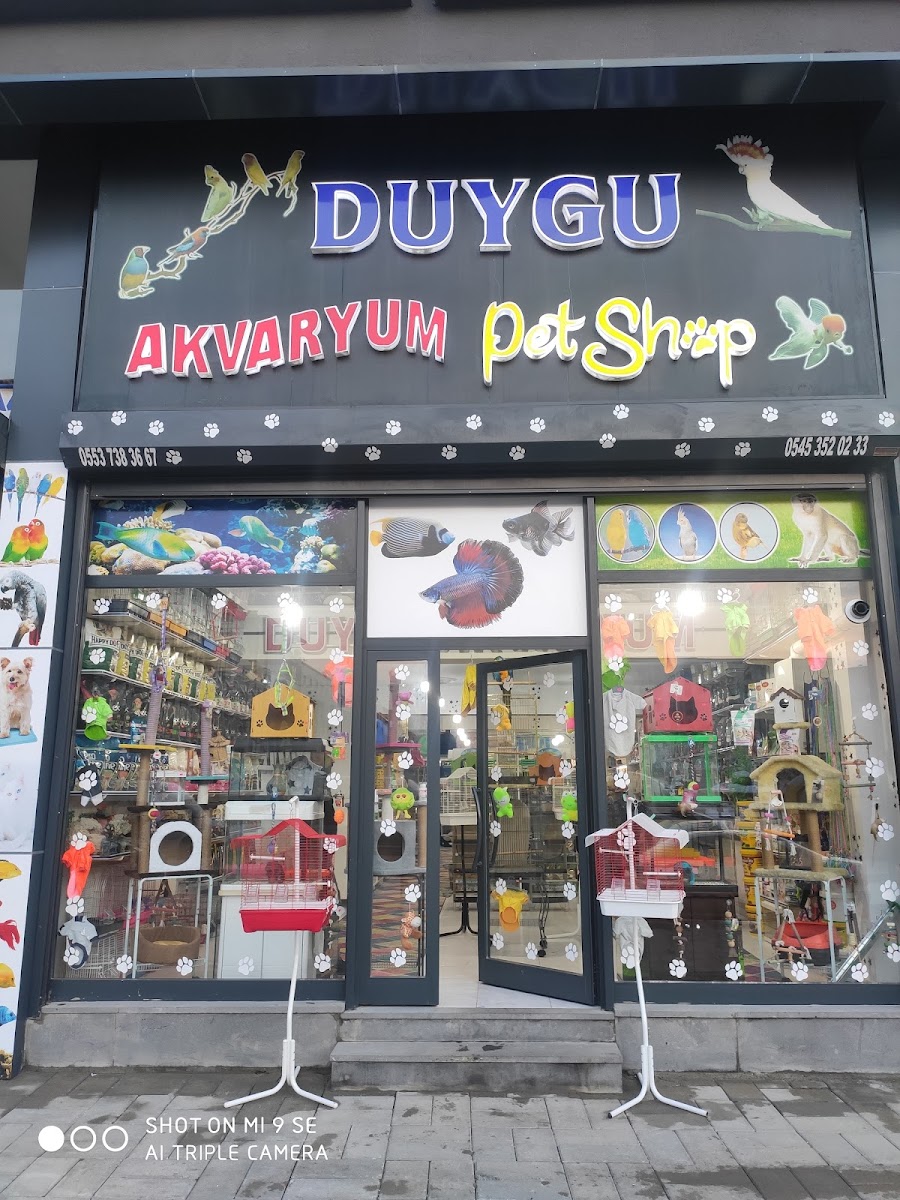 Duygu Akvaryum