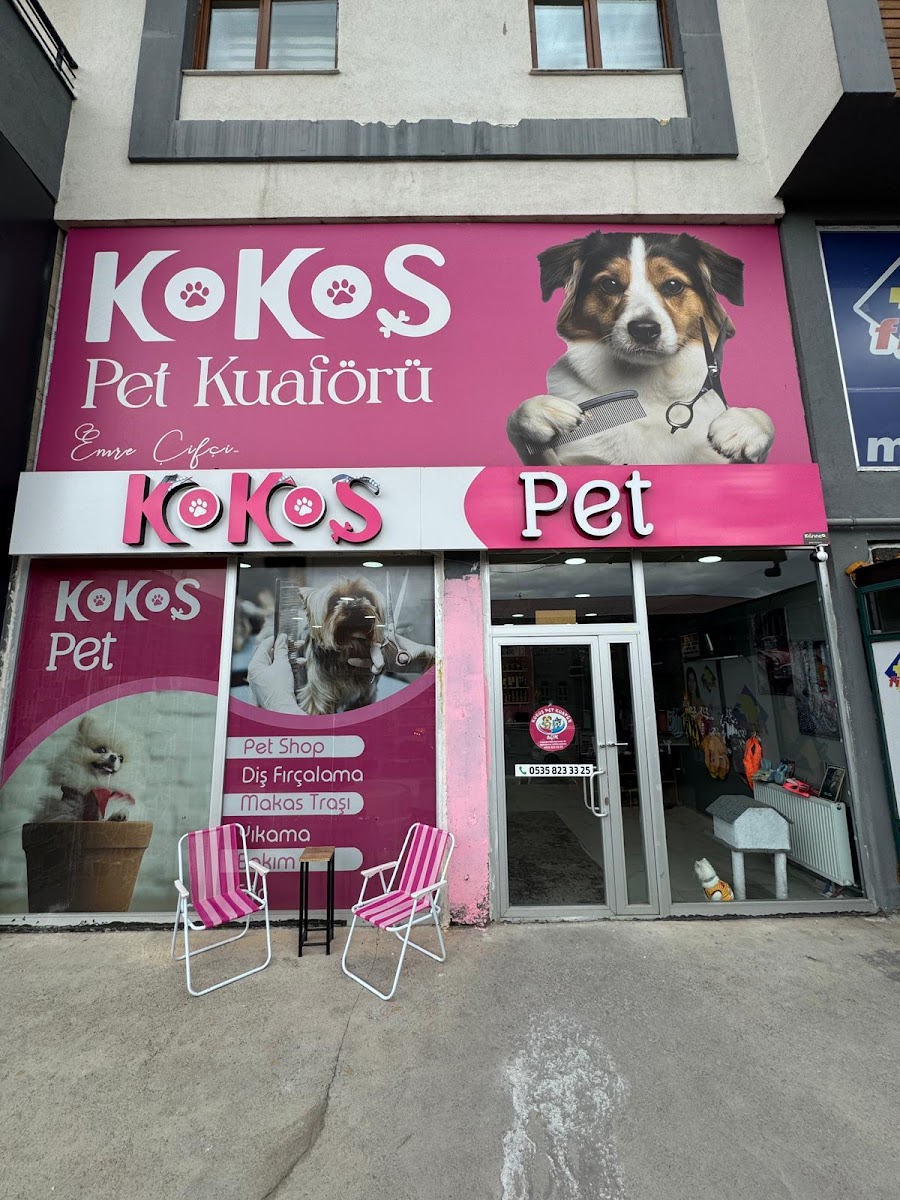 Kokoş Pet Kuaför Erzurum