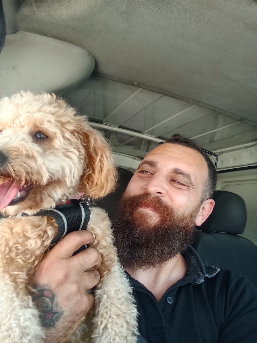 Hatay-Pet Taksi-Pet otel