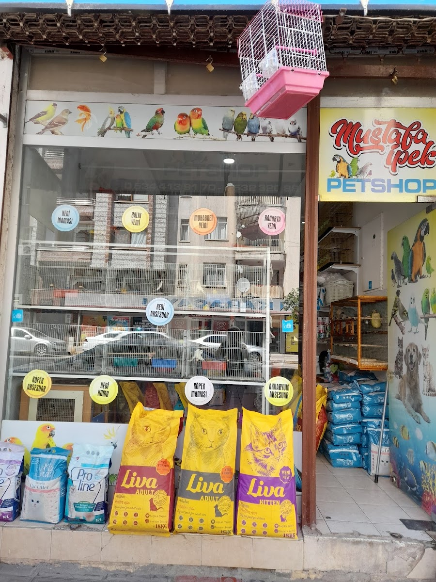 Mustafa İpek Petshop