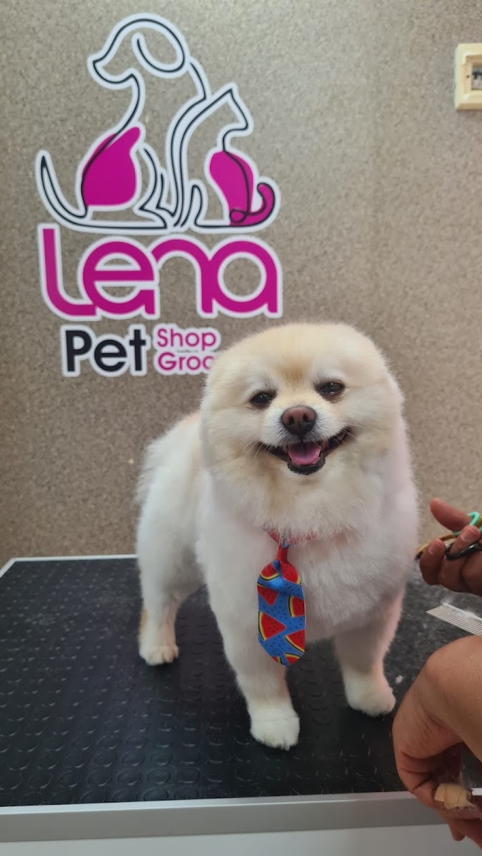 LENA Pet Grooming & Shop