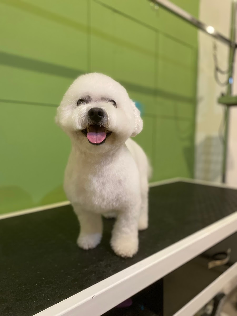 Kardelen Usta Grooming House