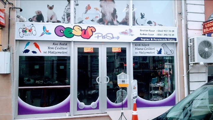 Cesur Petshop