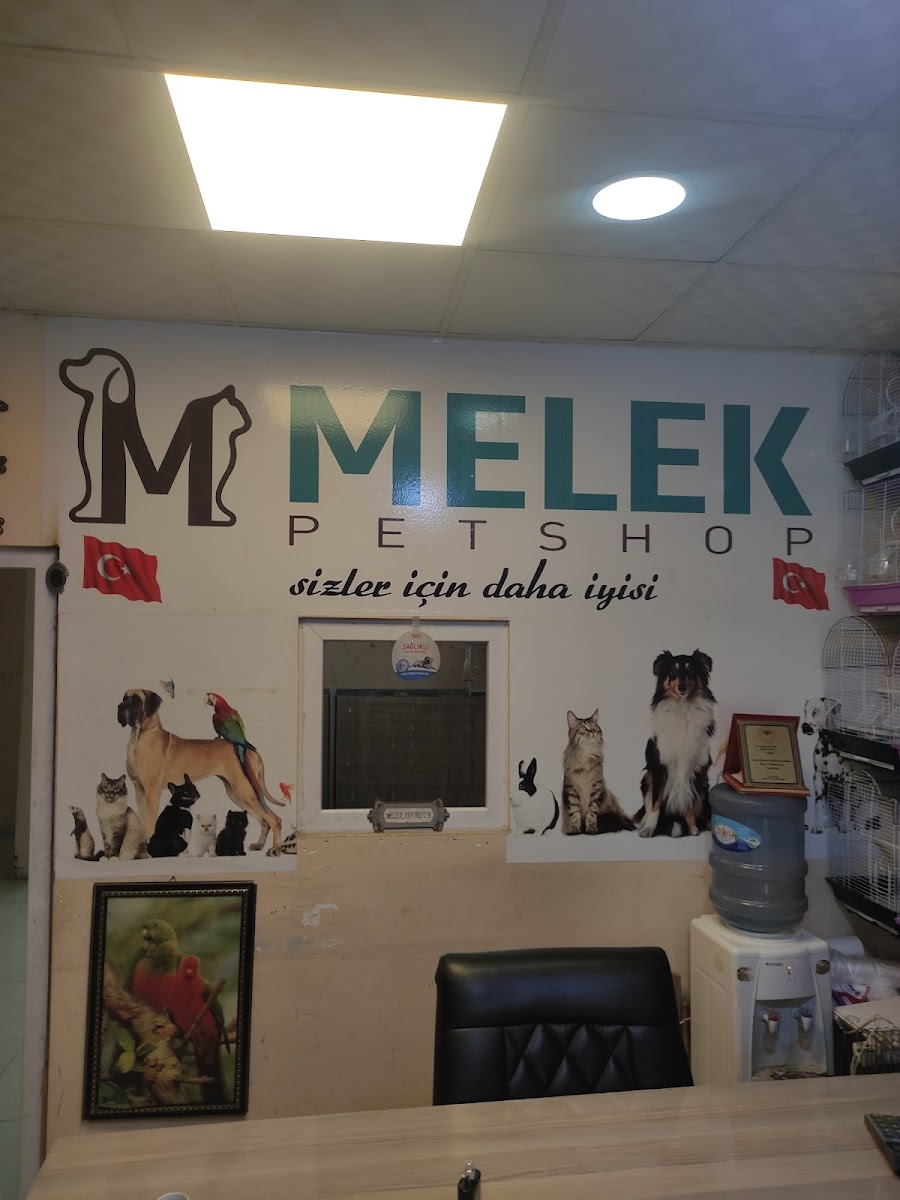 Melek Akvaryum Ve Kuş Dünyası