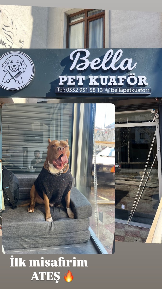 Bella Pet Kuaför