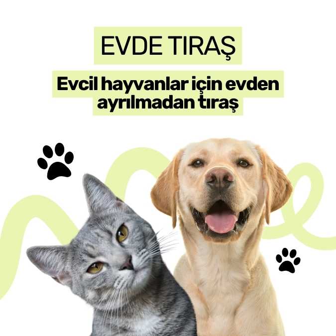 Antalya Evde Pet Kuaför