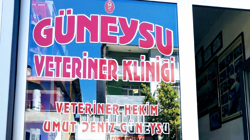 Güneysu Veteriner Kliniği