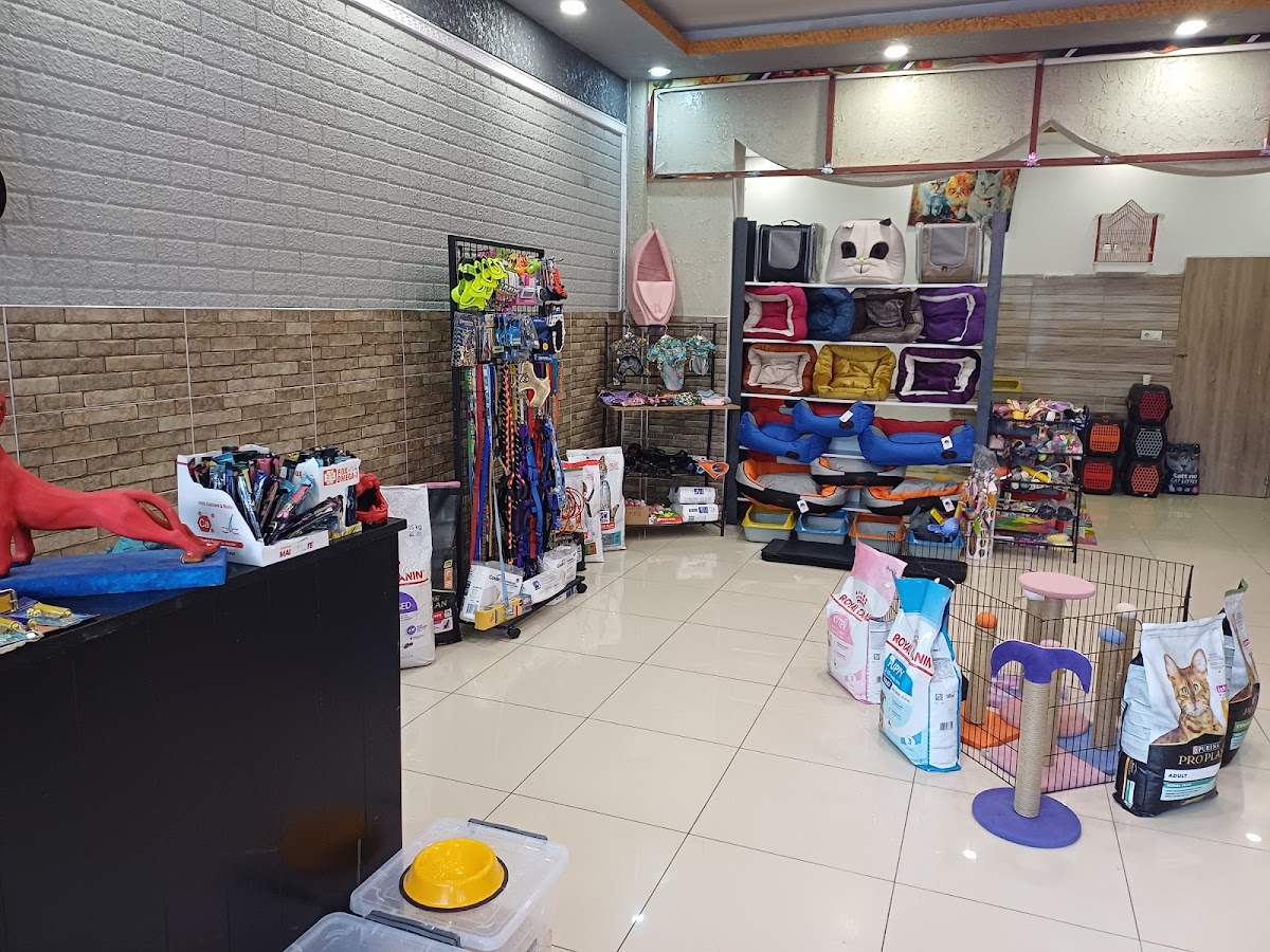 AREN PETSHOP PET KUAFÖR