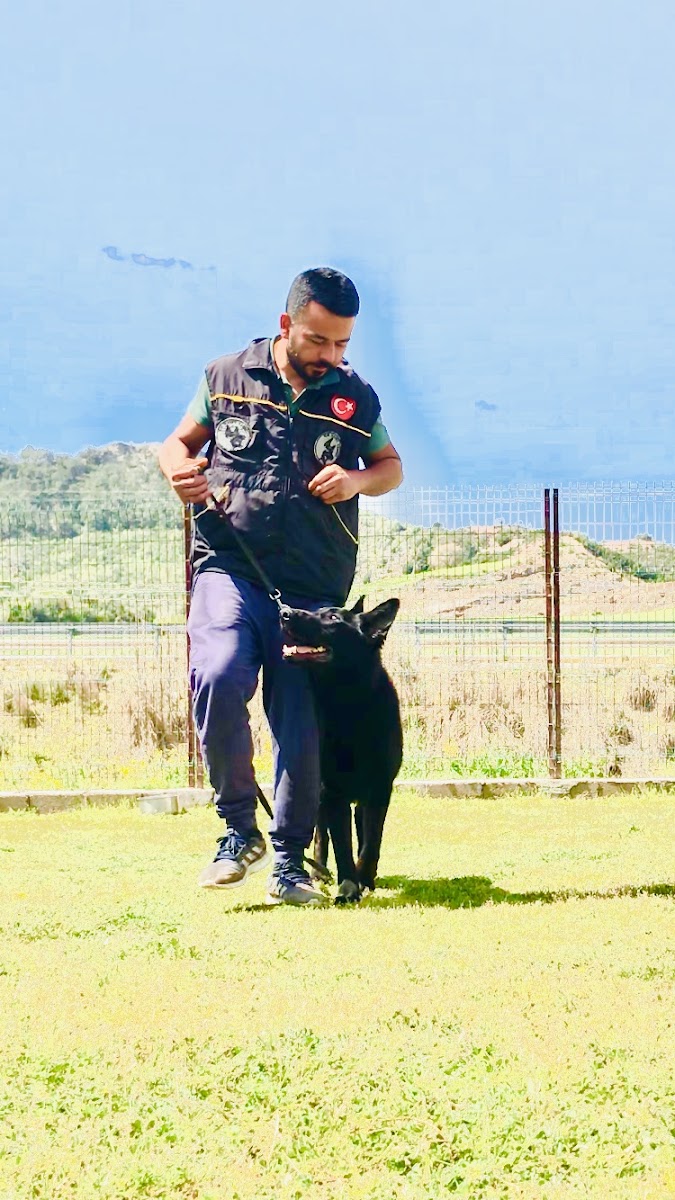 ADANA İZGİ KÖPEK EĞİTİM MERKEZİ VE KÖPEK OTELİ
