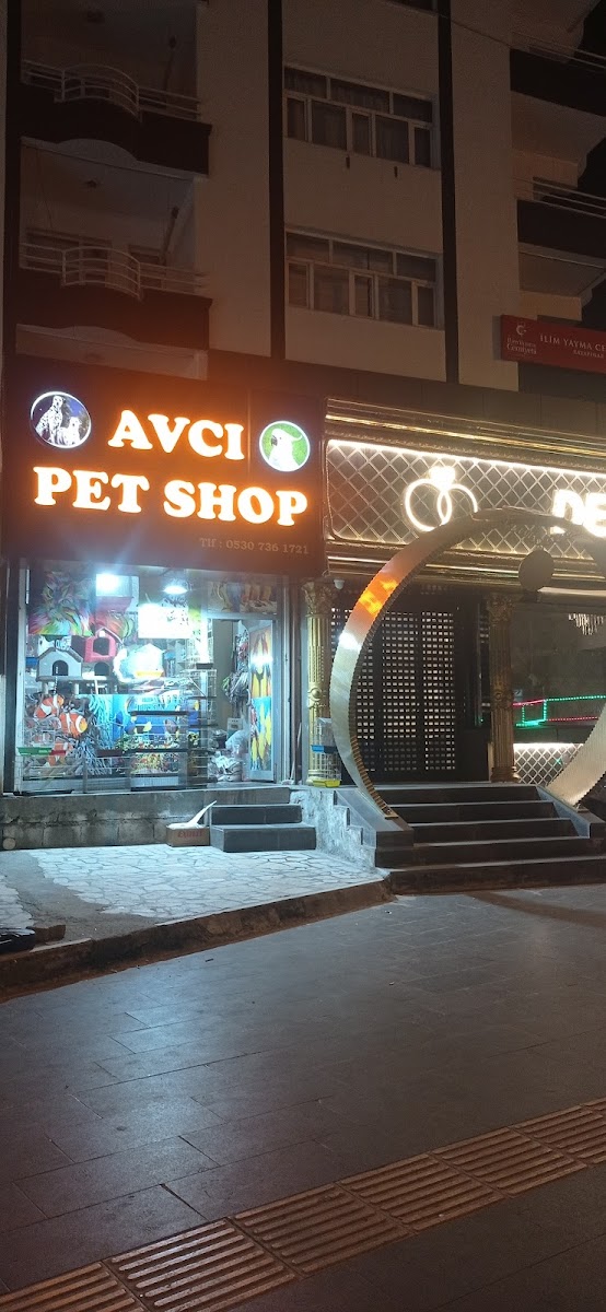Avcı Pet Shop Akvaryum