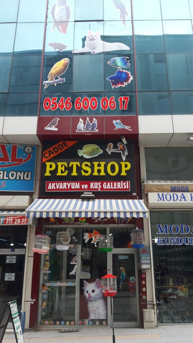 Cadde Petshop