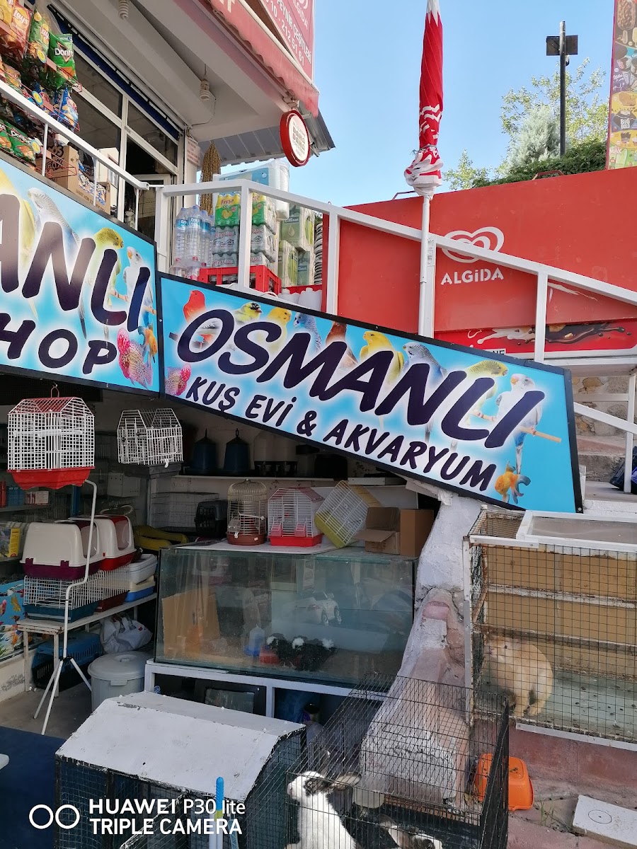Osmanlı petshop