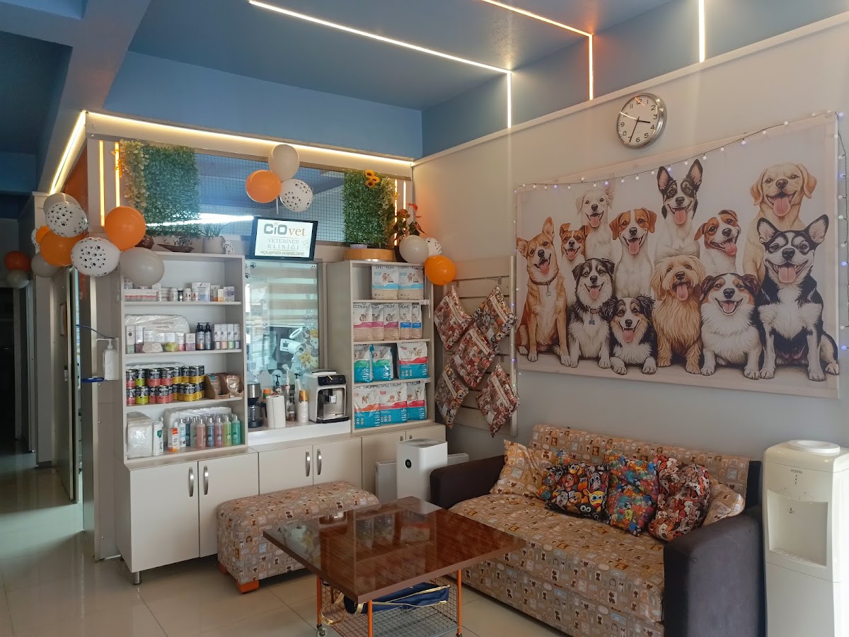 CioVet Veteriner Kliniği