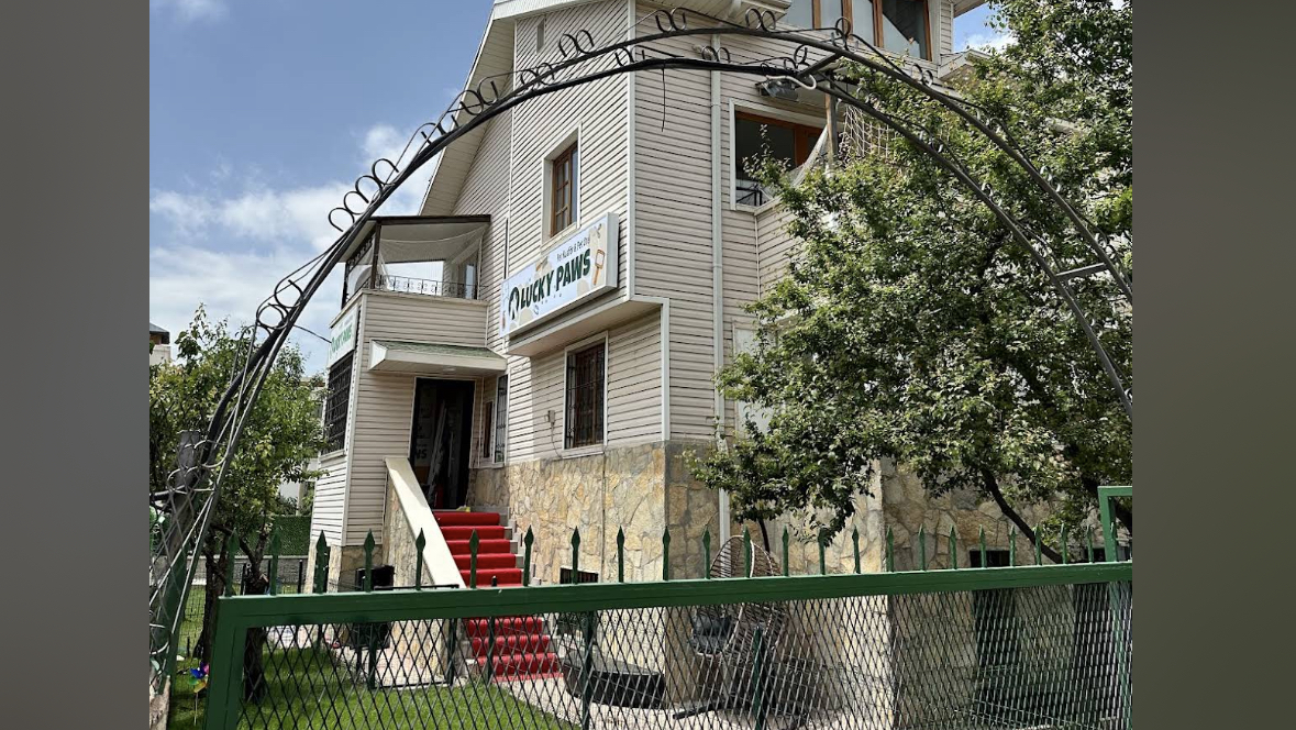 Lucky Paws Pet Otel & Pet Kuaför & Pet Shop