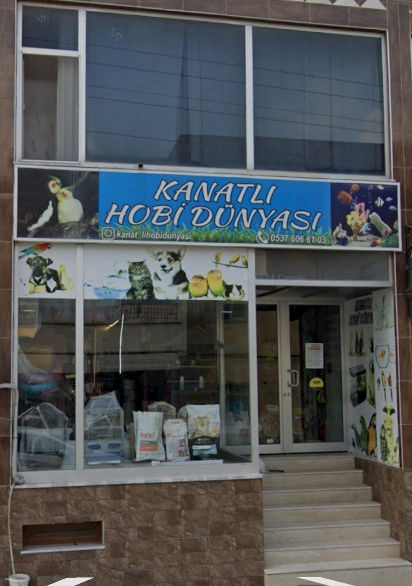 Kanatlı Hobi Dünyası petşhop