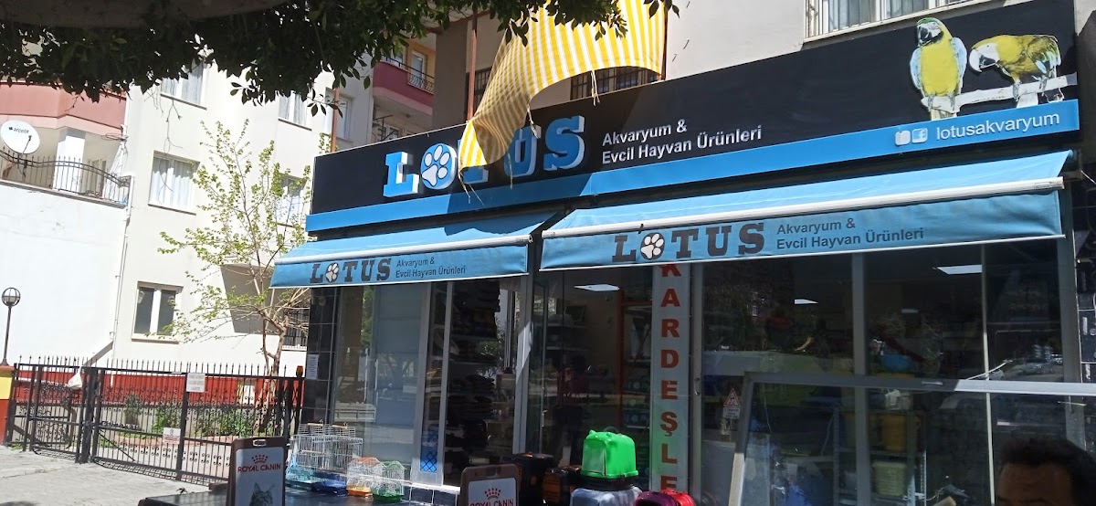 Lotus Akvaryum ve Evcil Hayvan Ürünleri