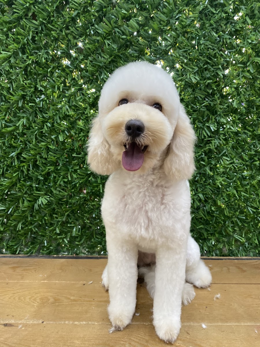 Mersintubapethairsaloon