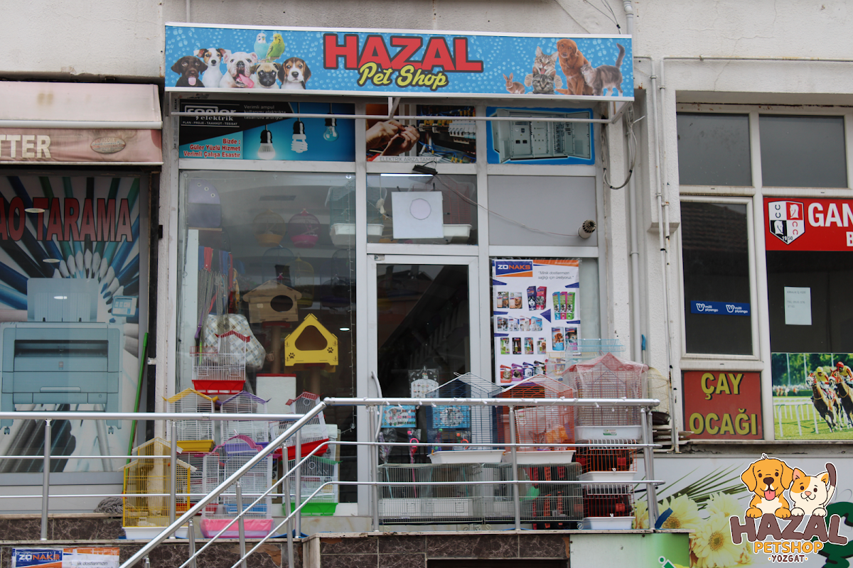 Hazal Petshop Yozgat