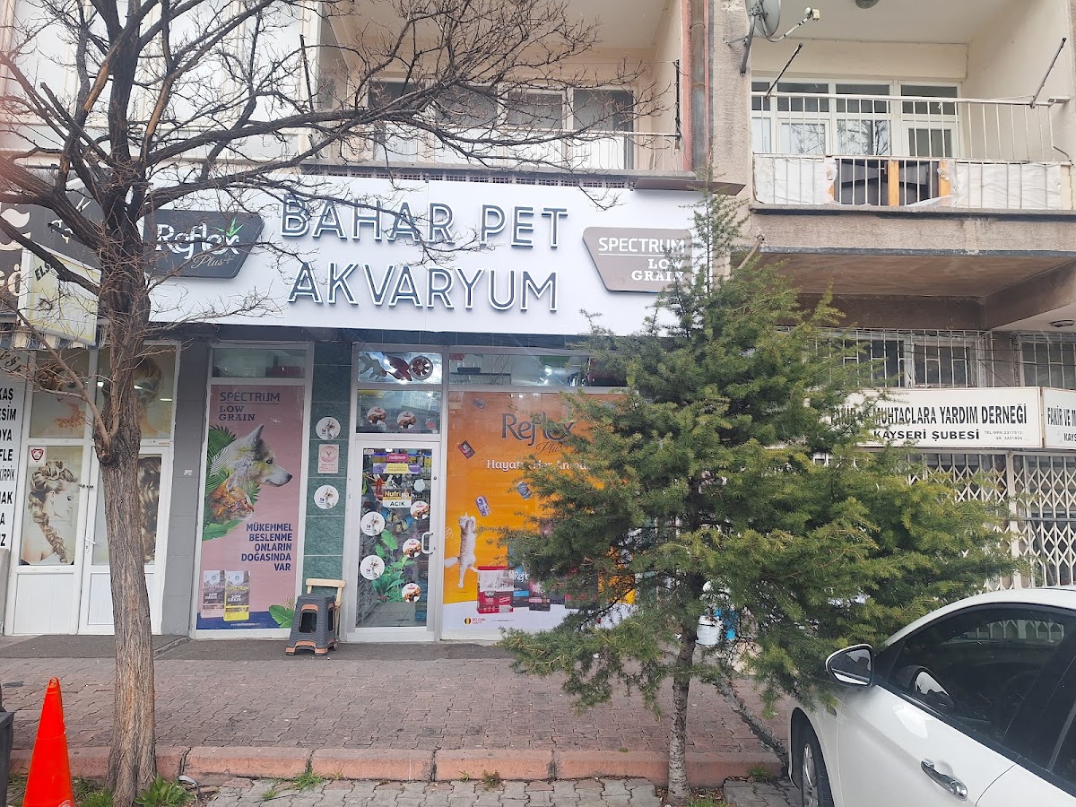 Bahar Pet Akvaryum