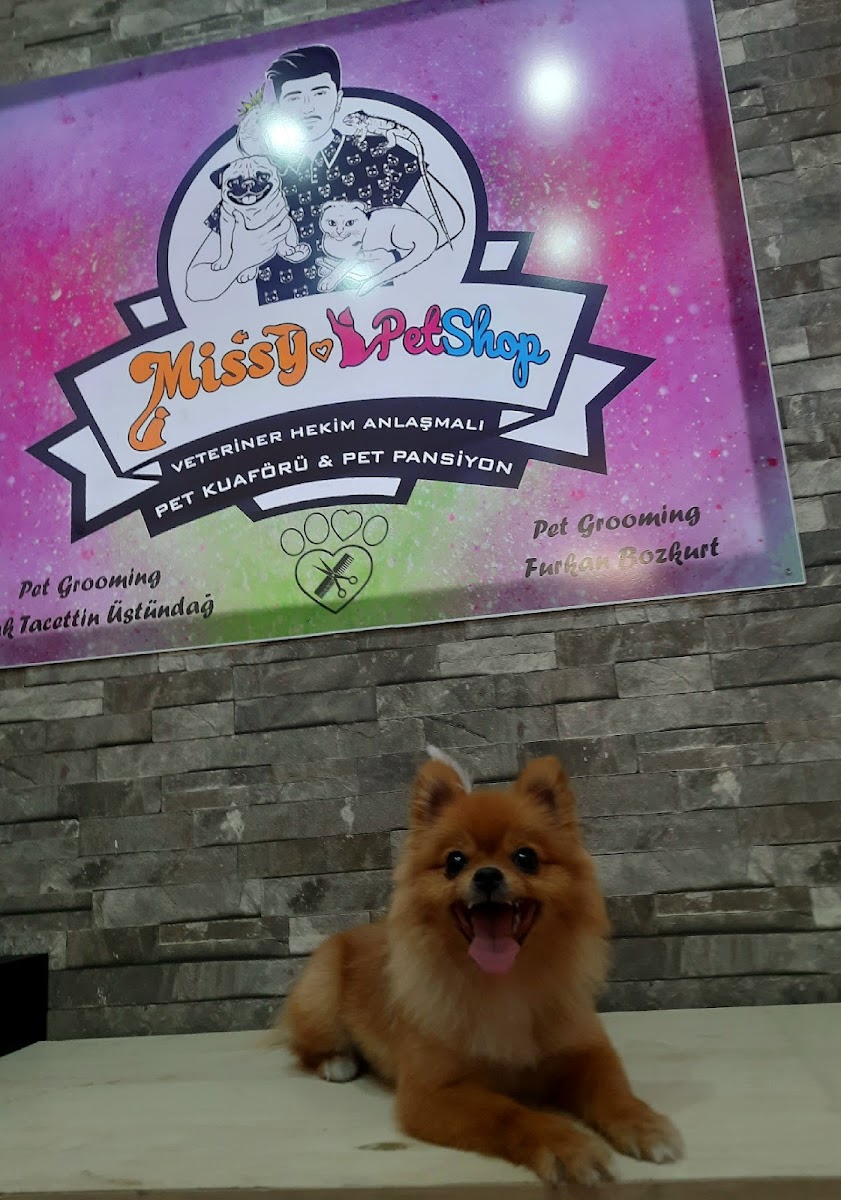 Missy Pet Kuaför & Bakım