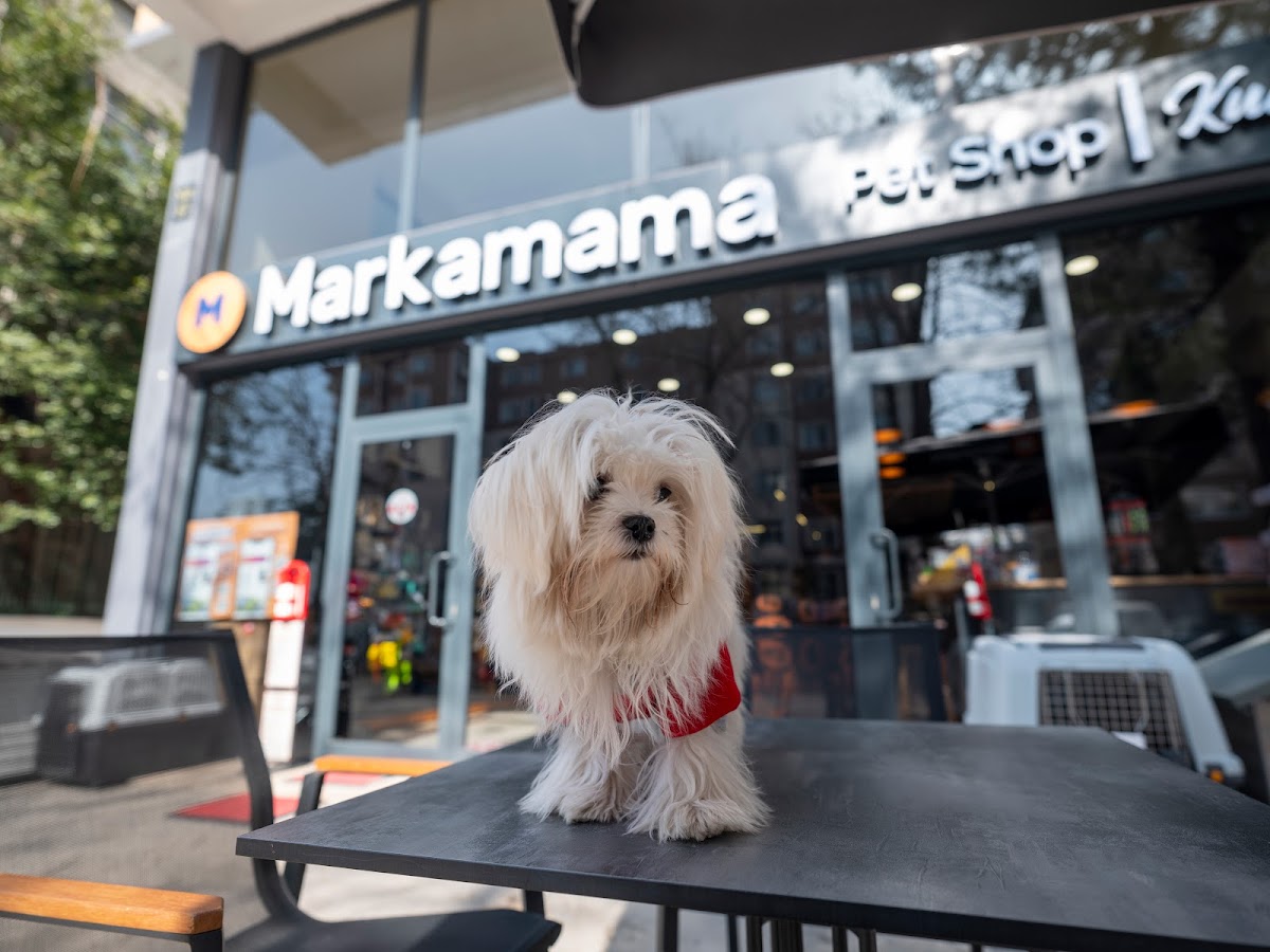 Markamama Petshop & Kuaför