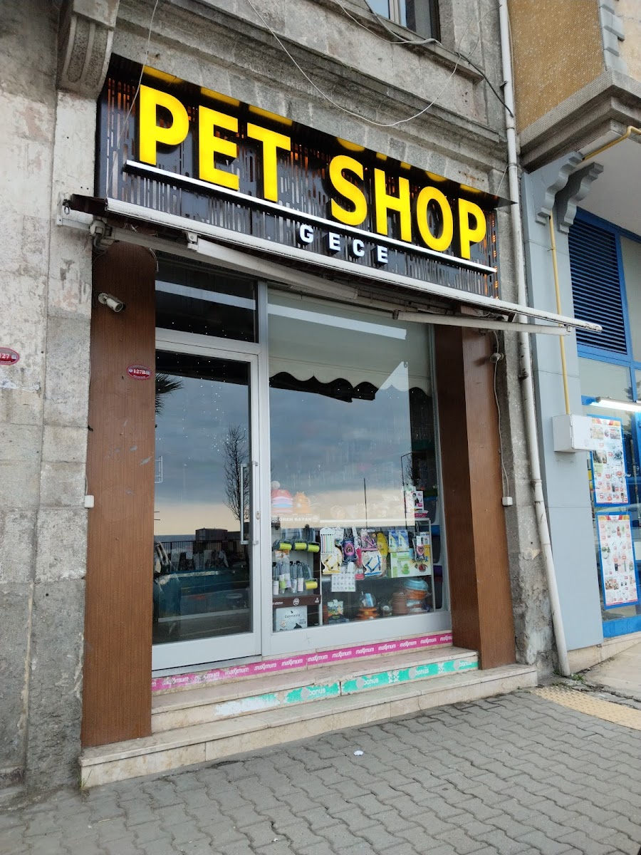 Gece Pet Shop
