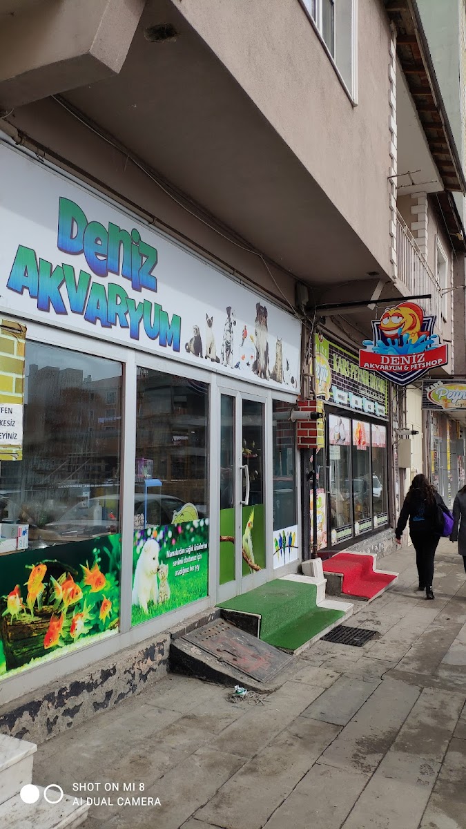 Deniz Akvaryum&Petshop