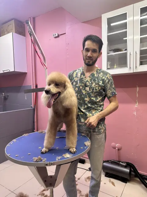 AFRO.PET.KUAFOR fotoğraf 3