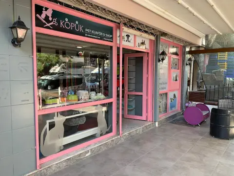 Köpük Pet Kuaför fotoğraf 3