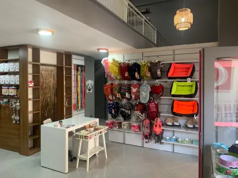 Köpük Pet Kuaför fotoğraf 4