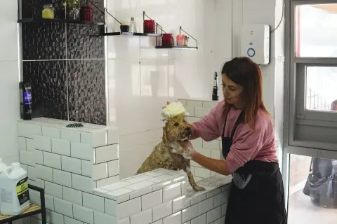 Köpük Pet Kuaför fotoğraf 5