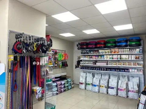 Best Petshop Pet kuaför fotoğraf 2