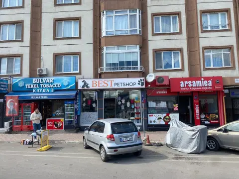 Best Petshop Pet kuaför fotoğraf 3