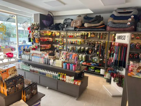 Four Paws Pet Kuaför & Pet Shop fotoğraf 5