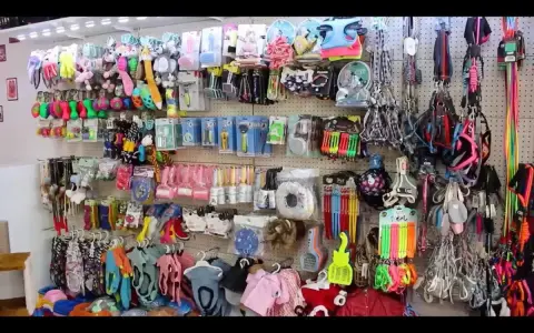 Aksaray Pet Kuaför & Petshop fotoğraf 2