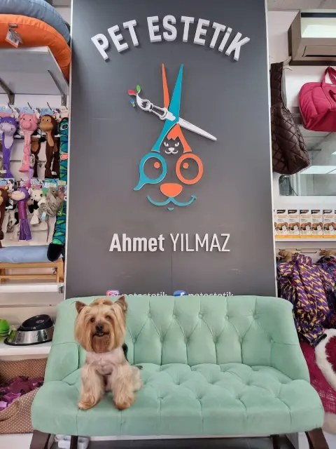PET ESTETİK PET KUAFÖR fotoğraf 4