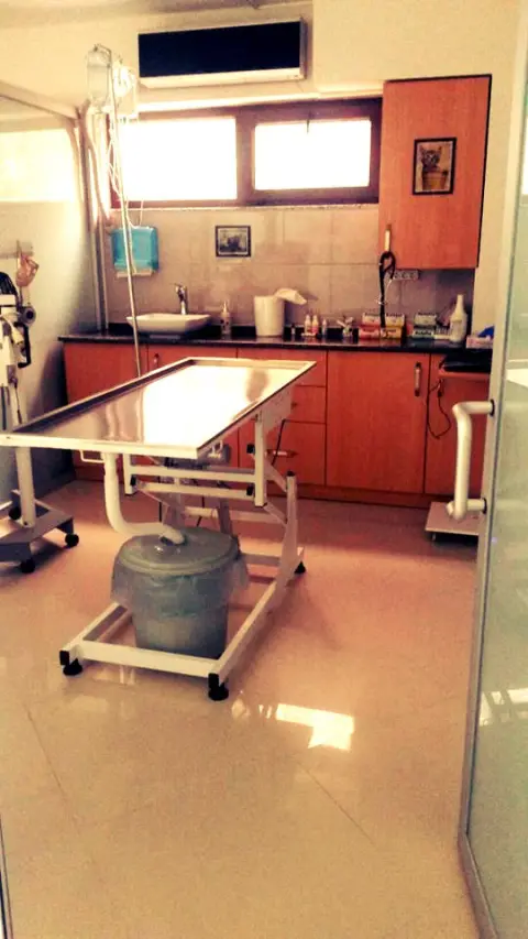 Kulübe Pet Shop & Pet Kuaför fotoğraf 3